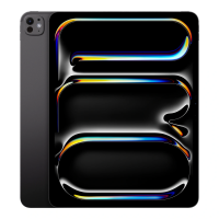 Apple iPad Pro 13" (2025) M5 Wi-Fi + Cellular 256 ГБ Black (eSim)